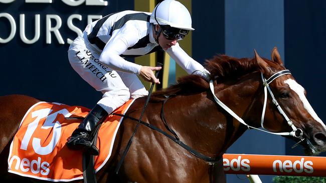Linda Meech rides Pippie to victory in the Oakleigh Plate. Picture: Kelly Defina/Getty Images