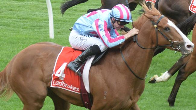 Heart Of Puissance is within reach of a start in the All-Star Mile. Picture: Getty Images