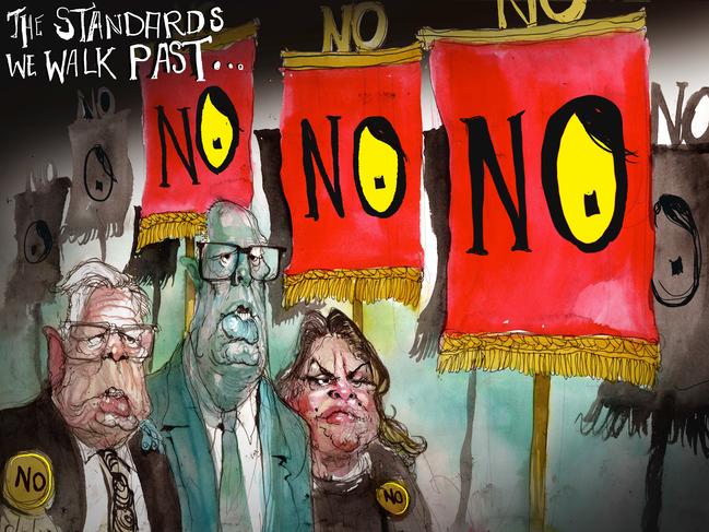 The David Rowe cartoon.