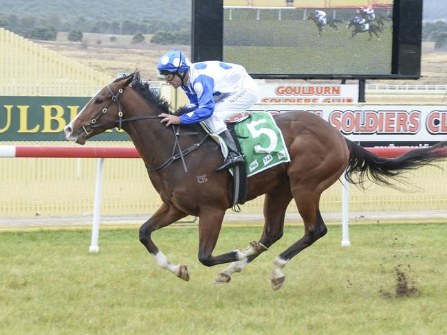 Tycoon Artie now races in different silks - purple, old gold checks, white sleeves and cap - and he should prove hard to beat at Corowa on Monday. Photo: Bradley Photos.