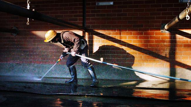 An apprentice jockey cleans out the stables as part of his daily duties after early morning trackwork. Picture: Peter Clark