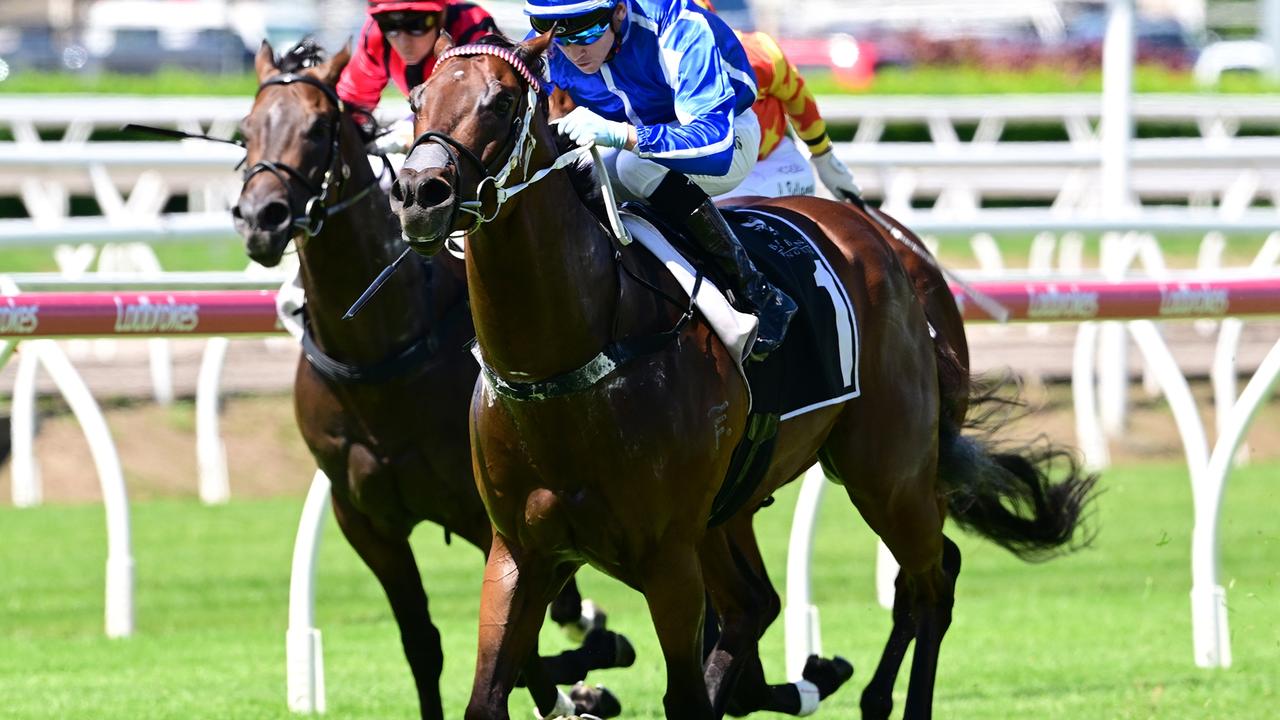 Steady Ready sizzles the turf at Eagle Farm last Saturday to frank his credentials for the $750,000 King Of The Mountain slot race. Picture: Grant Peters, Trackside Photography.