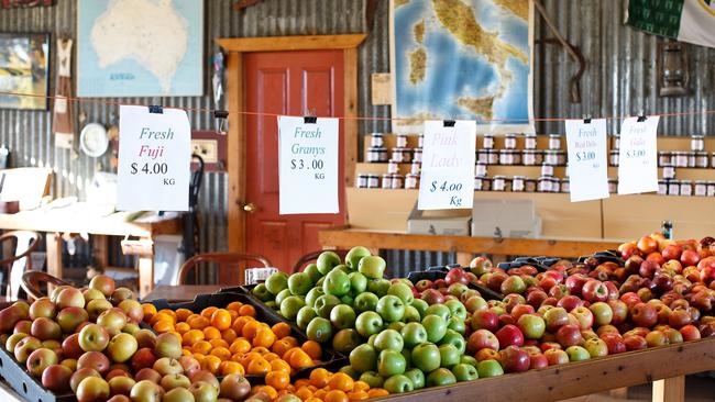 Cottage Orchard Cafe, Bilpin. Picture: James Horan/Destination NSW