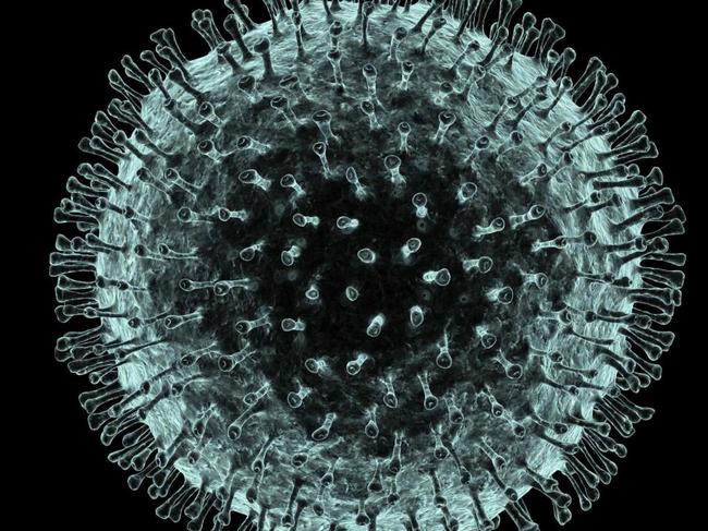 Embargoed for The Sunday Telegraph.Computer artwork of the coronavirus  ©Science Photo Library PASIEKAThe Coalition for Epidemic Preparedness Innovations  (CEPI), a global group that aims to derail epidemics by speeding up the development of vaccines, has engaged CSIRO to help determine the characteristics of the current virus - a key step in developing a new vaccine.