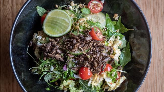 Jethro Canteen — a cafe in Richmond — is serving crickets for breakfast. Picture: Jake Nowakowski