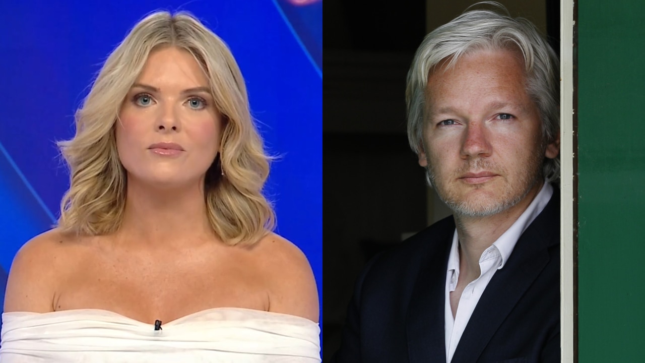 ‘No hero’: Erin Molan slams the Julian Assange ‘travelling circus’
