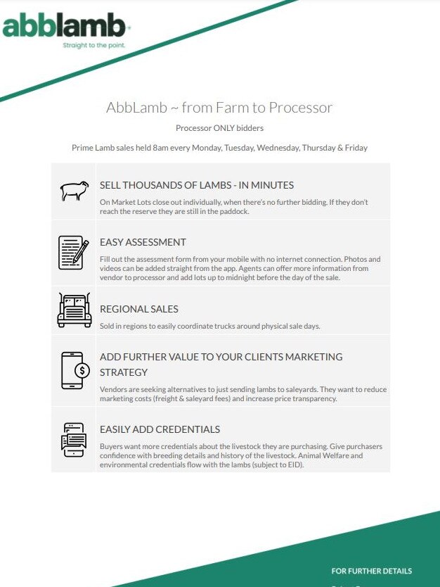 Abblamb's initial flyer to announce its launch.