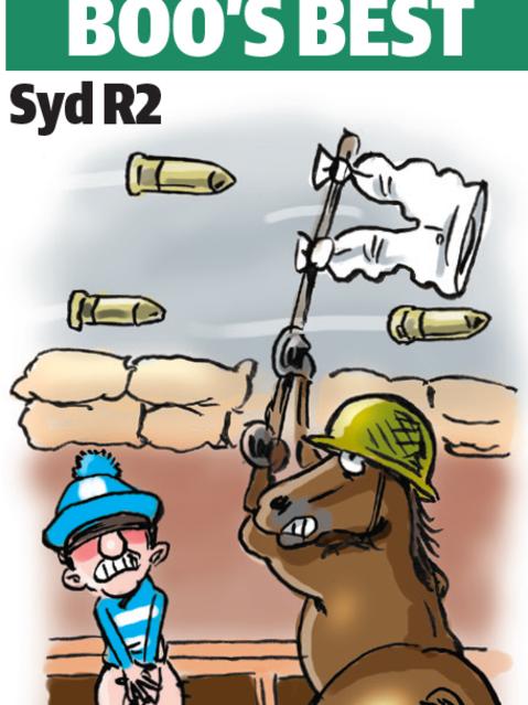 Boo Bailey's cartoon tip for Randwick