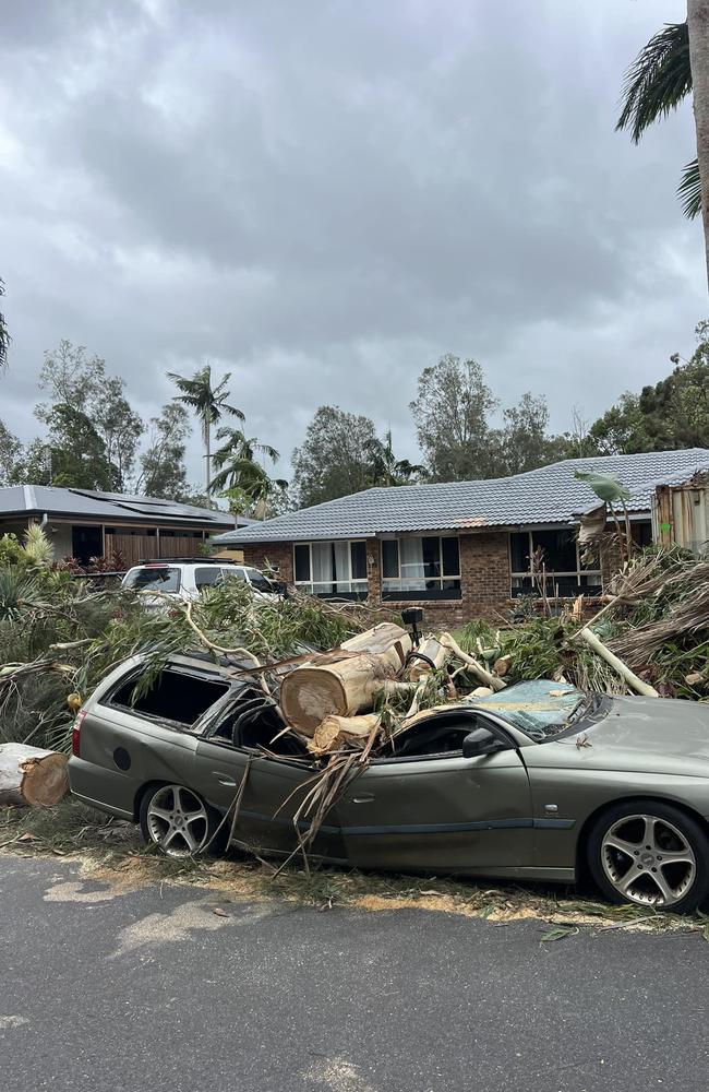 Cyclone Alfred, a car flattened by a tree in Ocean Shores Northern NSW today