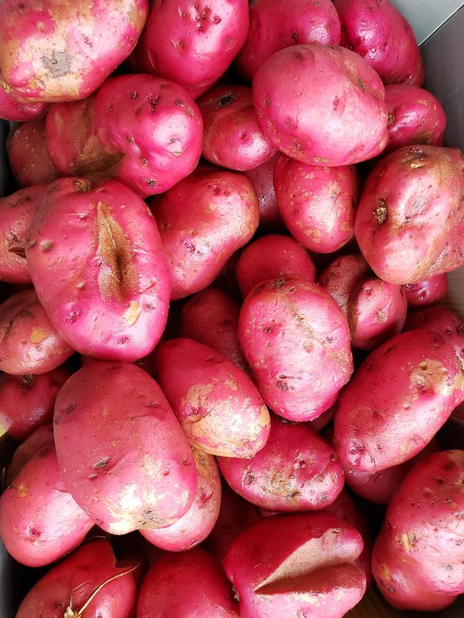 Red potatoes grown locally in the Atherton Tablelands.