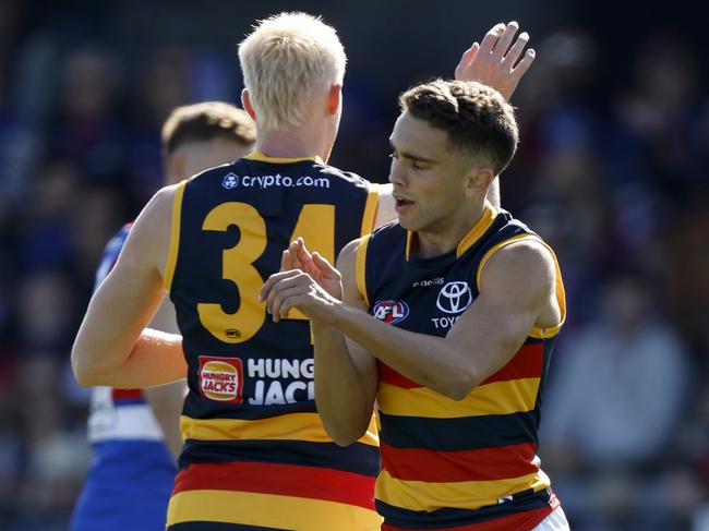 BALLARAT, AUSTRALIA - APRIL 23: Lachlan Sholl of the Adelaide Crows celebrates a goal  during the round six AFL match between the Western Bulldogs and the Adelaide Crows at Mars Stadium on April 23, 2022 in Ballarat, Australia. (Photo by Darrian Traynor/Getty Images)