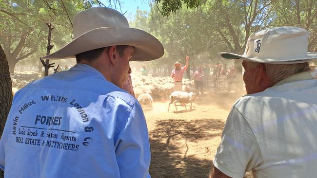 Buyers at the Deniliquin sheep sale. Picture: Jenny Kelly