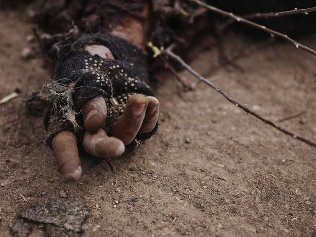 Hand of a martyred Islamic State soldier