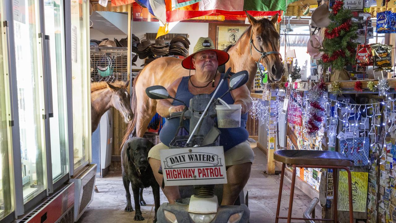 Daly Waters Historic Pub owner Tim Carter and his entourage of animals enter the pub to cool down. Picture: Floss Adams.