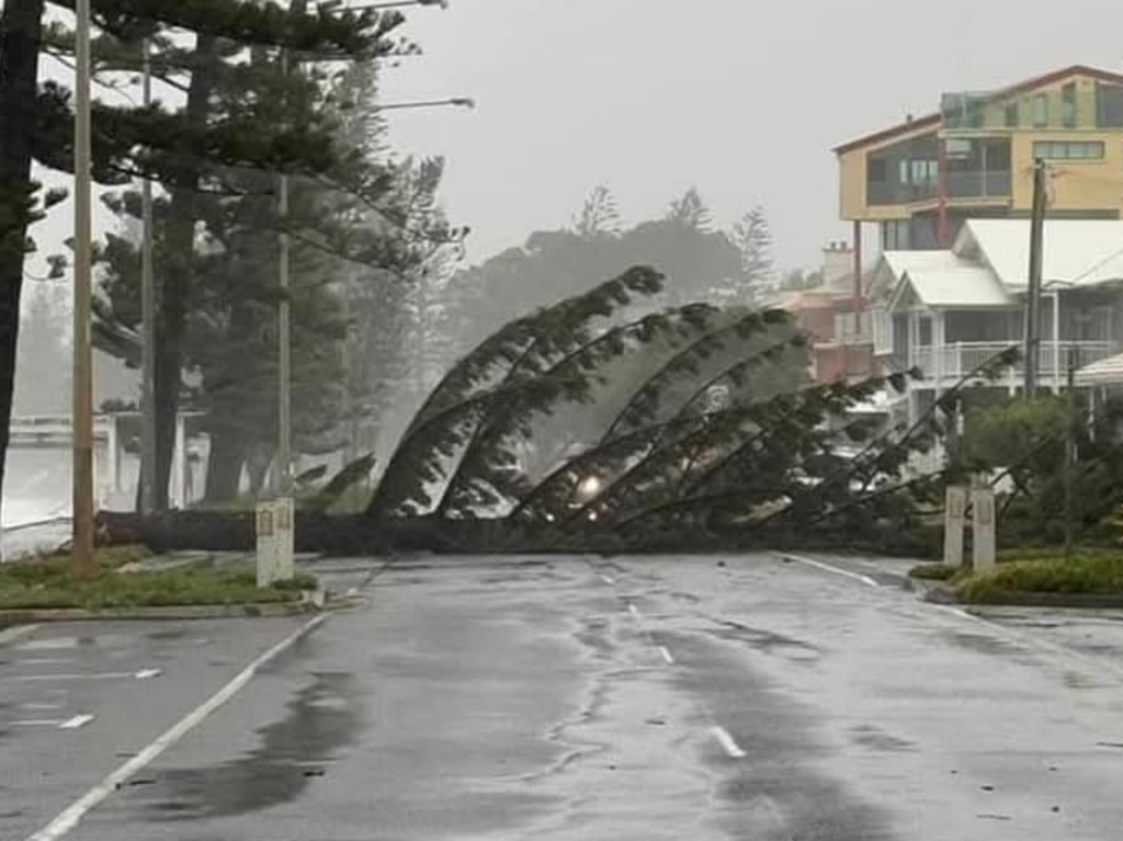 Cyclone Alfred hits Brisbane. Picture: Lyn Russell, Margate