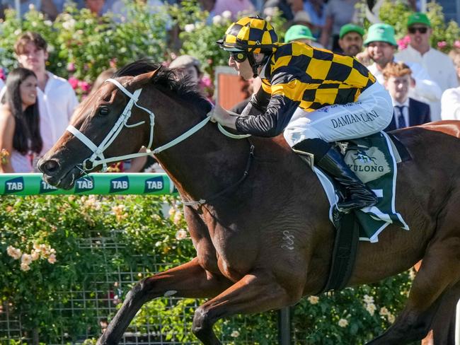 Joliestar ridden by Damian Lane wins the Yulong Newmarket Handicap at Flemington Racecourse on March 08, 2025 in Flemington, Australia. (Photo by George Sal/Racing Photos via Getty Images)