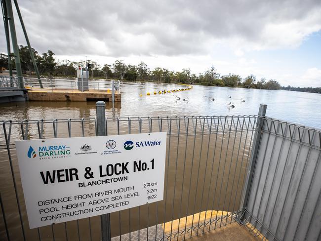 Flood water at Lock 1 at Blanchtown, on November 2nd, 2022.Picture: Tom Huntley