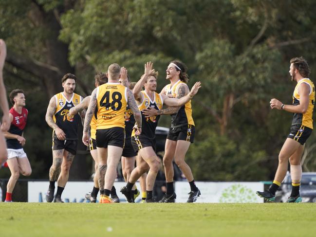 Frankston YCW celebrate a goal. Picture: Valeriu Campan