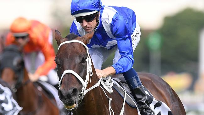 The big punters are getting in early to back Winx in the Queen Elizabeth Stakes. Picture: AAP 