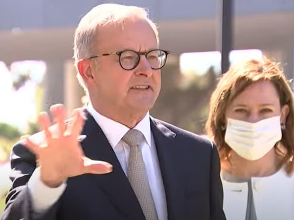 Anthony Albanese and Mark McGowan's press conference was gatecrashed on Wednesday. Picture: ABC News