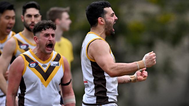 James Rizzolio celebrates a Thomastown goal. Picture: Andy Brownbill