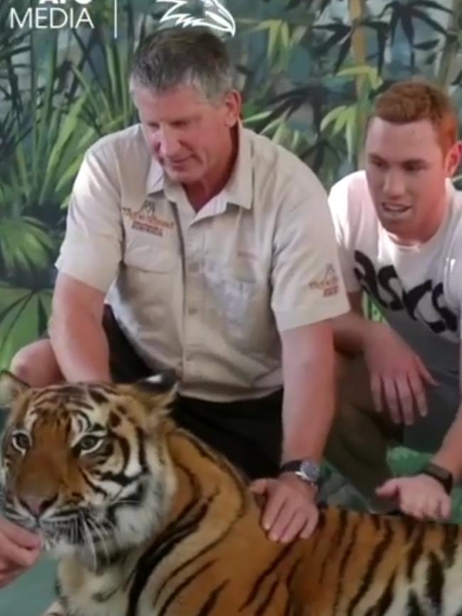 Tom Lynch with a tiger at Dreamworld. Picture: @adelaide_fc/Instagram