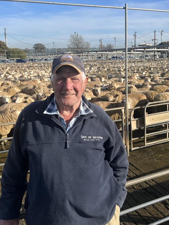 Cam Musgrove of Miarb at The Rock is pictured at the Wagga Wagga sheep and lamb market.