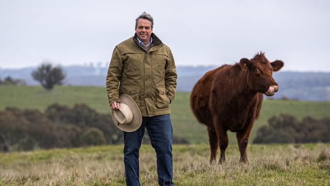 Tim Clarke is the CEO of cattle group MMG, photographed on his property near Trentham in western Victoria. Picture: Aaron Francis/The Australian