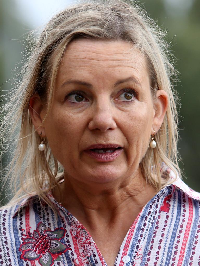 There could also be movement for Sussan Ley, who was health minister from 2014 to 2017 and an assistant minister under Mr Morrison. Picture: Hollie Adams/The Australian