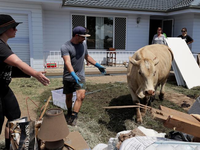 The clean up continues in Coraki on March 6 last year. Picture: Toby Zerna