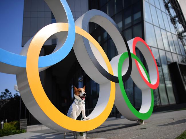 A dog is pictured on the Olympic Rings displayed at the Japan Sport Olympic Square beside the new National Stadium, still under construction, in Tokyo on July 24, 2019, one year before the start of the Tokyo 2020 Olympic Games. (Photo by CHARLY TRIBALLEAU / AFP)