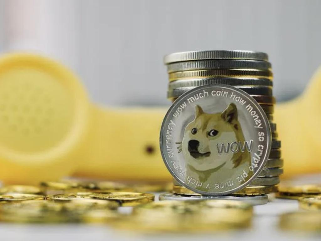 Dogecoin and Elon Musk are now two peas in a pod.
