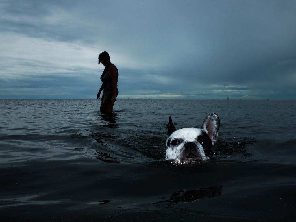 Photographer Name: Thanasorn Janekankit Year: 2018 Image Description: At the Southern part of Thailand, an old Western lady brings her dog to the beach. Copyright: Thanasorn Janekankit, Thailand, Shortlist, Open Street Photography and 2nd Place, Thailand National Award. Picture: Sony World Photography Awards/ Thanasorn Janekankit