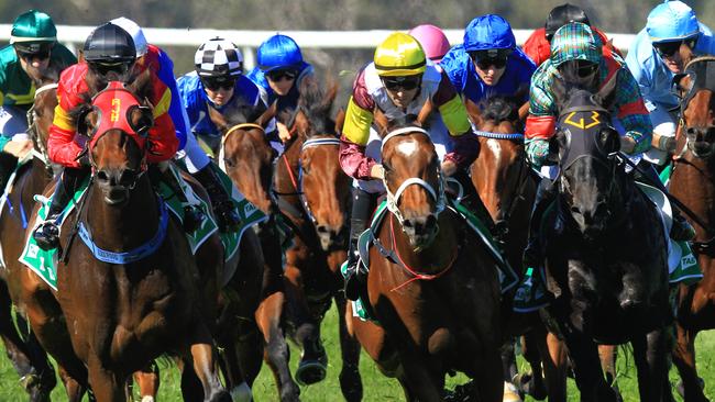Racing in New South Wales on Friday is at Grafton and Bathurst.