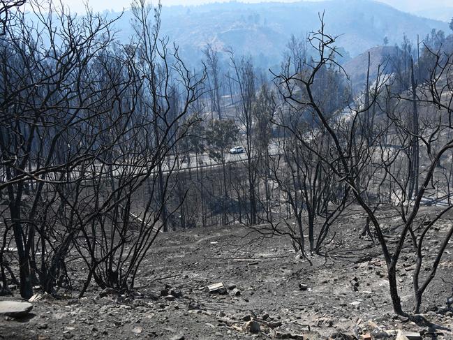 TOPSHOT - View of burnt trees after a fire that affected the hills in Quilpue comune, ViÃ±a del Mar, Chile on February 3, 2024. The region of Valparaiso and ViÃ±a del Mar, in central Chile, woke up on Saturday with a partial curfew to allow the movement of evacuees and the transfer of emergency equipment in the midst of a series of unprecedented fires, authorities reported. (Photo by RODRIGO ARANGUA / AFP)