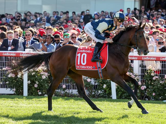 Victoria Road (IRE) on the way to the barriers prior to the running of Ladbrokes Cox Plate at Moonee Valley Racecourse on October 28, 2023 in Moonee Ponds, Australia. (Photo by George Sal/Racing Photos via Getty Images)