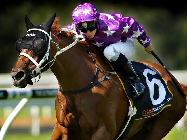 Jockey James McDonald gets the whip out on SALFORD ART on the way to winning Race 4 at Warwick Farm Races ,Warwick Farm.Picture Gregg Porteous