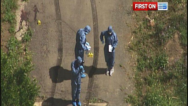 Nine News - Logan Reserve body