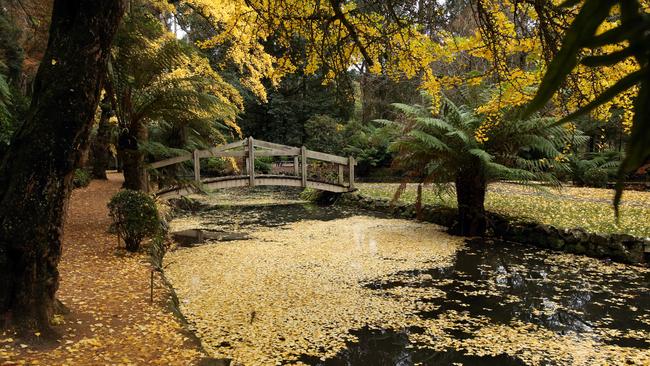 Alfred Nicholas Gardens in autumn. Picture: Stuart Milligan