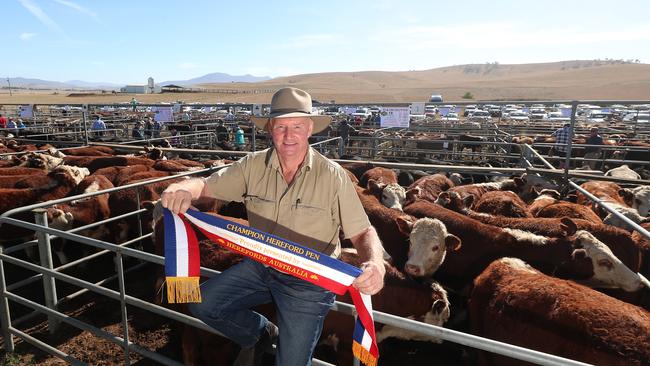 Benambra’s Peter Soutter had the best presented pen on Herefords at Hinnomunjie.