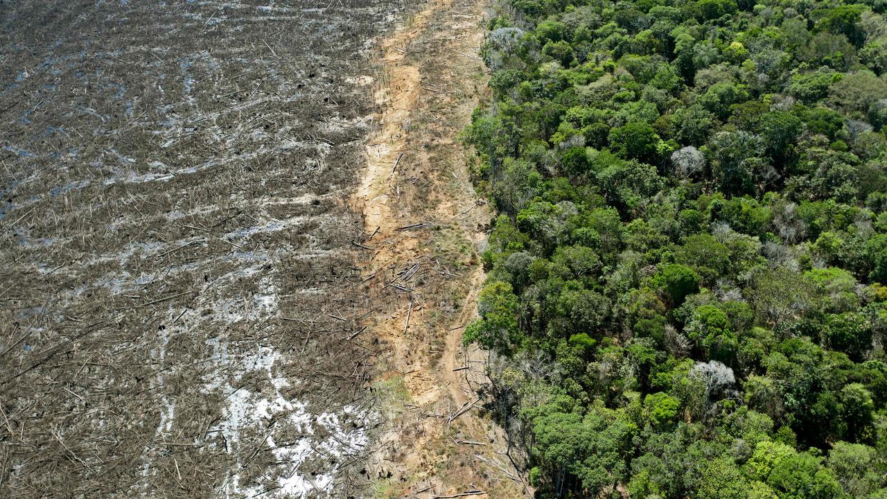 Deforestation in Brazil's  rainforest hits 15-year high