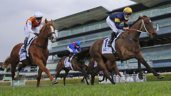 Standout (left) will head to the Sydney Stakes after his game second to Masked Crusader in last week’s Premiere Stakes at Randwick. Picture: Getty Images