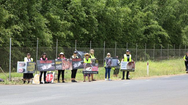 Animal activists target Swickers pig abattoir in Kingaroy, Dec 15, 2020. The group, which includes some locals, is part of Brisbane Animal Save and have protested at the site in previous years.