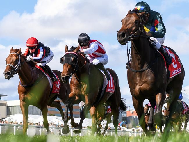 Alligator Blood ridden by Ryan Maloney wins the Ladbrokes Caulfield Guineas Prelude ,at Caulfield Racecourse on September 29, 2019 in Caulfield, Australia. (John Donegan/Racing Photos via Getty Images)
