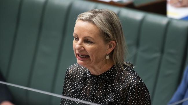 Environment Minister Sussan Ley.