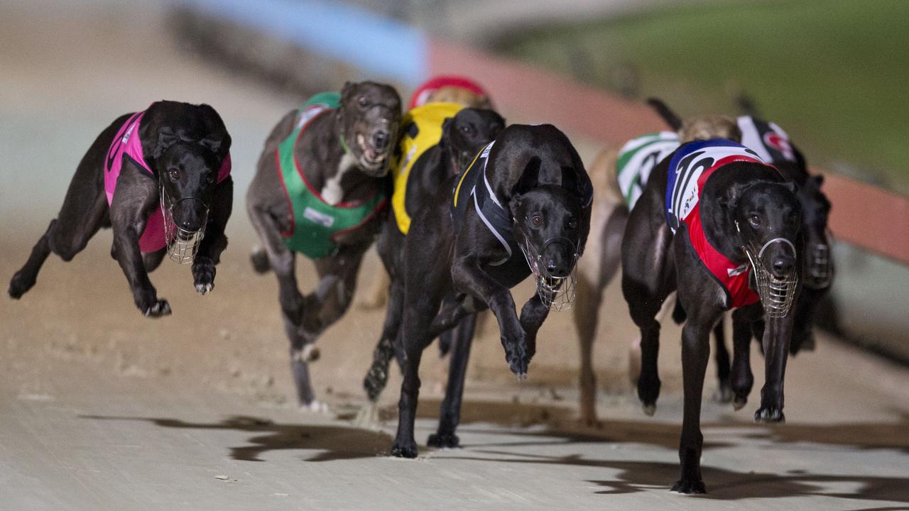 Will the Dapto Dogs soon cease to exist?
