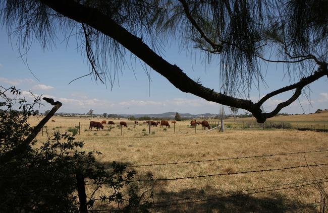 Camden Council’s draft submission raises concerns of the impact on the rural landscape of the Camden area. Picture: Robert Pozo