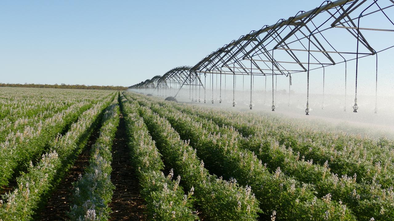 Field of dreams: Queensland’s biggest crop farms revealed