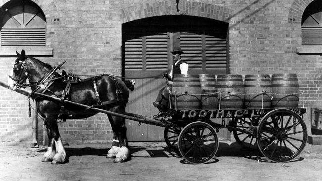 A Tooth and Co horse and dray team prepares to haul kegs of beer from the Kent Street Brewery in the early 1900s.