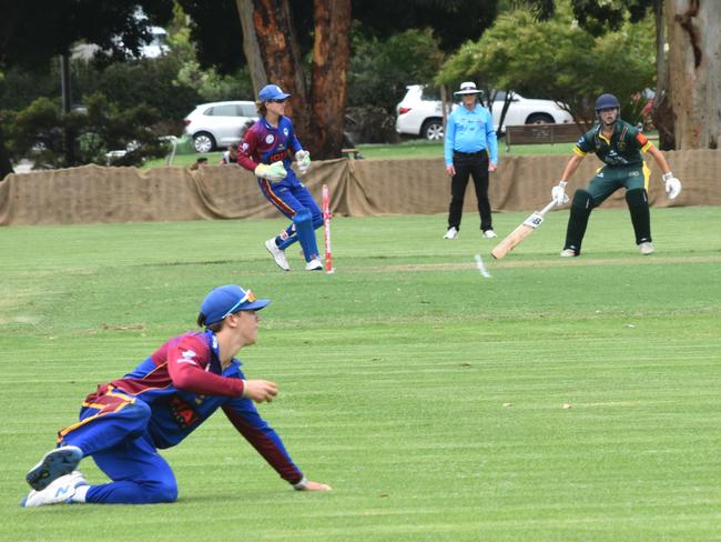 Max Guazzarotto gets down to field the ball. Picture: Sean Teuma